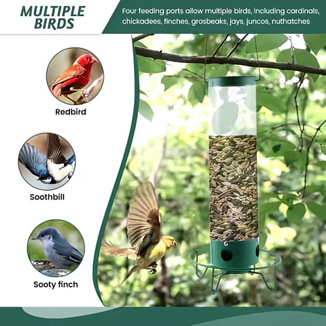 Kalsten | Bird Feeder | Squirrel-Proof Hanging Seed Feeder Outdoor
