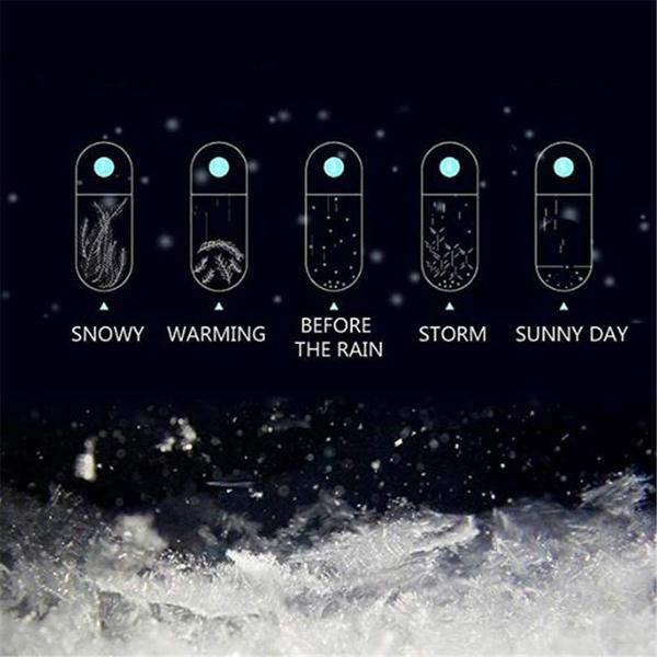 Kalsten | Storm Glass Weather Predicting Forecast Bottle Crystal Desktop Barometer with Wooden Base
