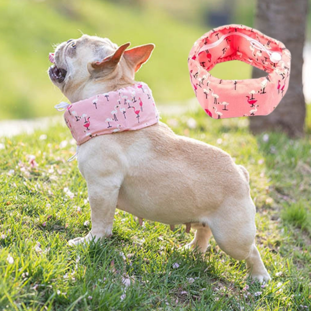 Frenchie-Summer-Cooling-Scarf-Anti-Heatstroke-www.frenchie.shop