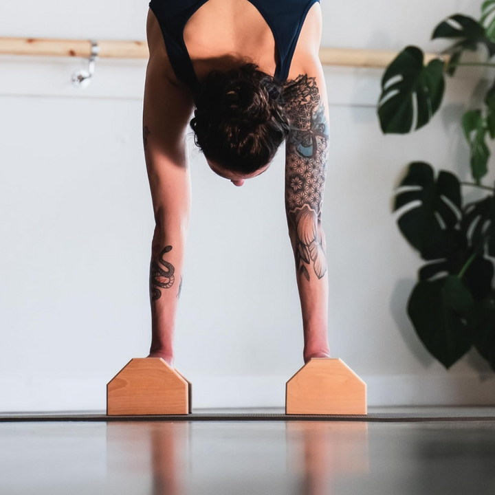 Push-Up Bars for Calisthenics Training
