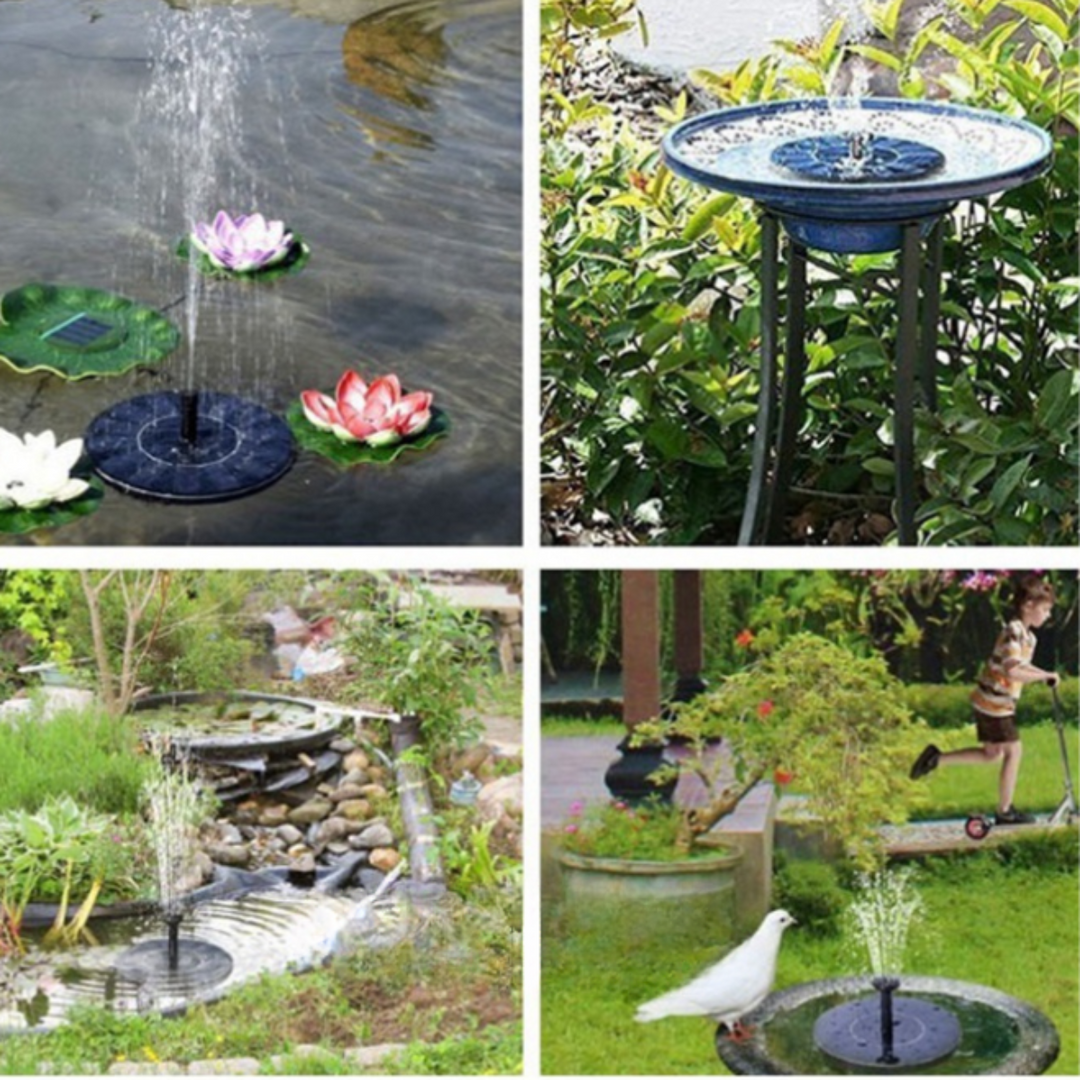 Birdbuddy™ - Eco-friendly water fountain Kalsten
