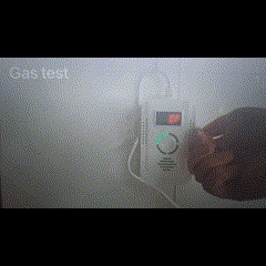 Gas Leak & Carbon Monoxide Alarm for Home