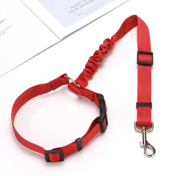Adjustable Car Dog Leash | Kalsten