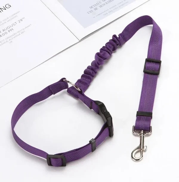 Adjustable Car Dog Leash | Kalsten