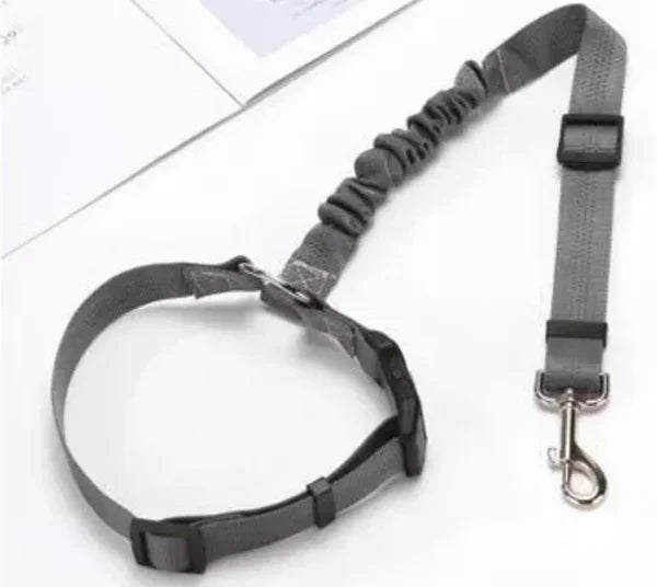 Adjustable Car Dog Leash | Kalsten
