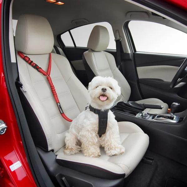 Adjustable Car Dog Leash | Kalsten