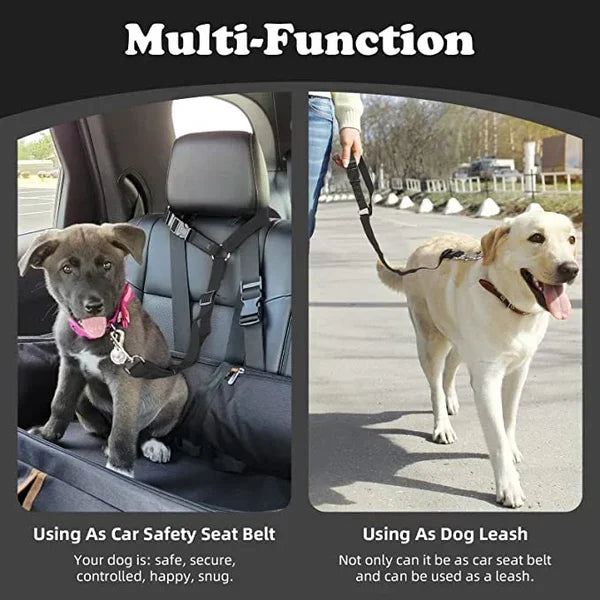 Adjustable Car Dog Leash | Kalsten