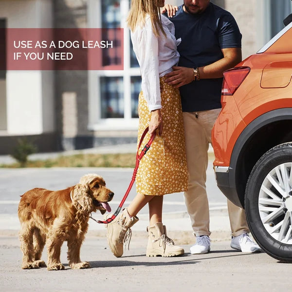 Adjustable Car Dog Leash | Kalsten