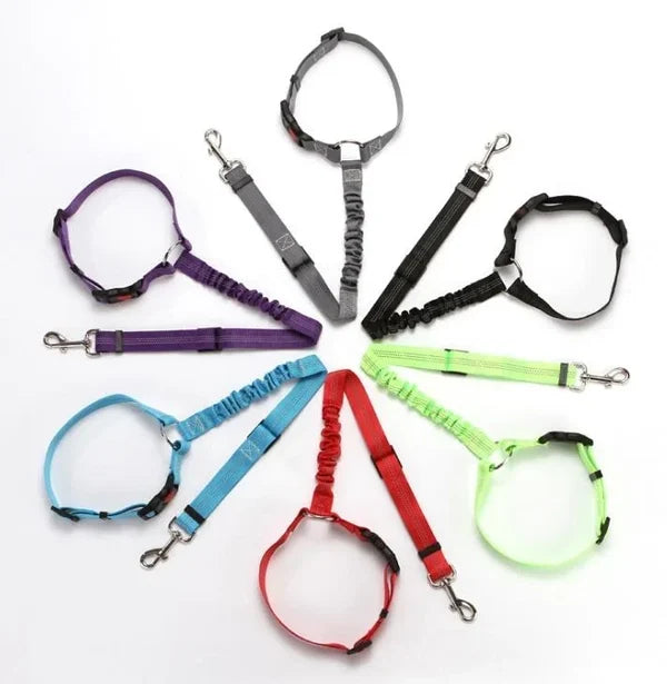 Adjustable Car Dog Leash | Kalsten