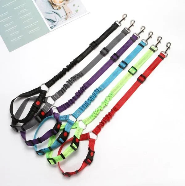 Adjustable Car Dog Leash | Kalsten
