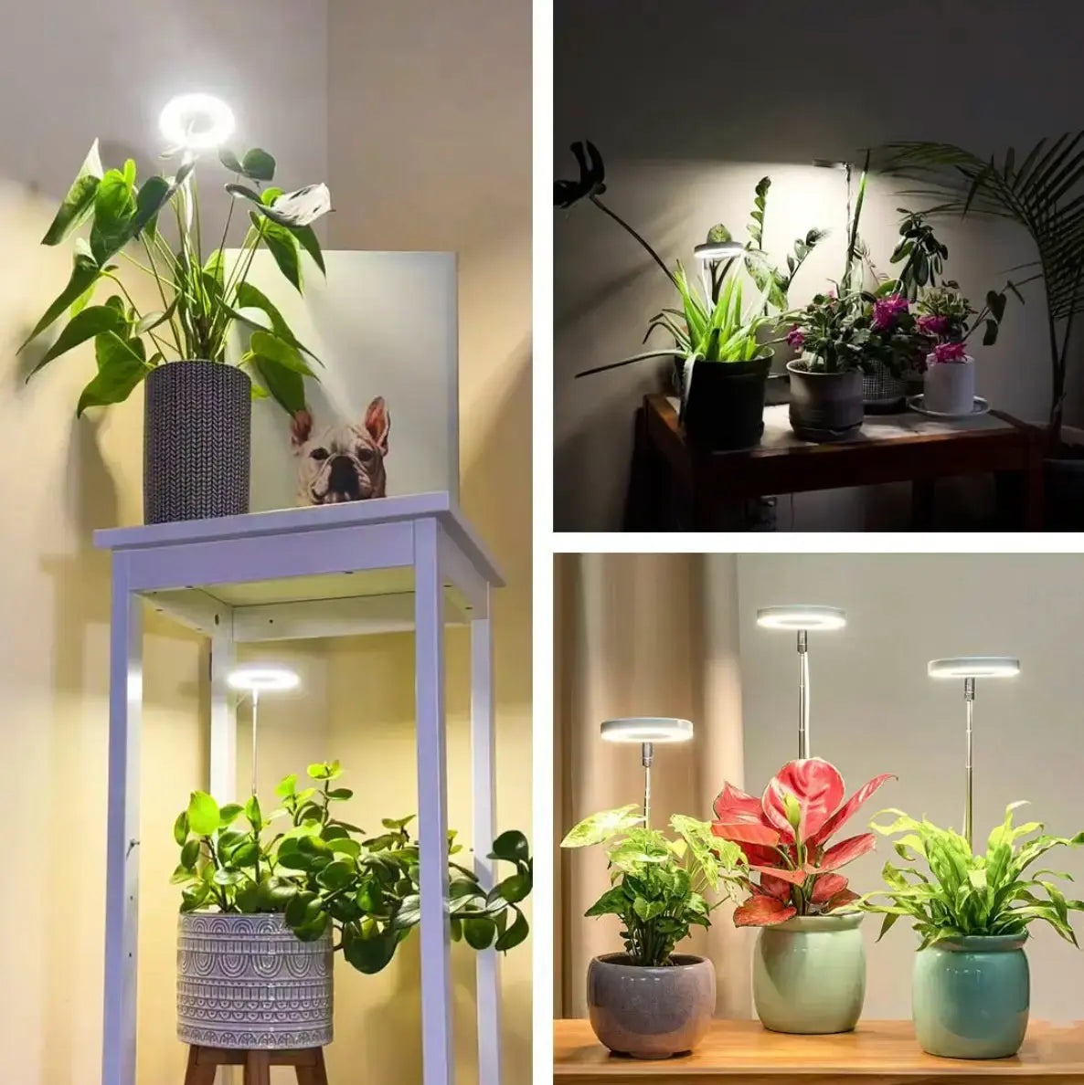 BowLift | Adjustable LED Plant Lamp – Optimal Light for Healthy Growth