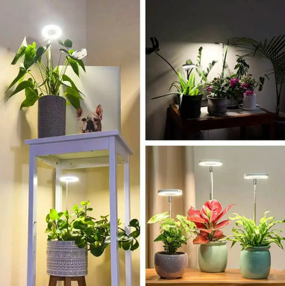 BowLift | Adjustable LED Plant Lamp – Optimal Light for Healthy Growth