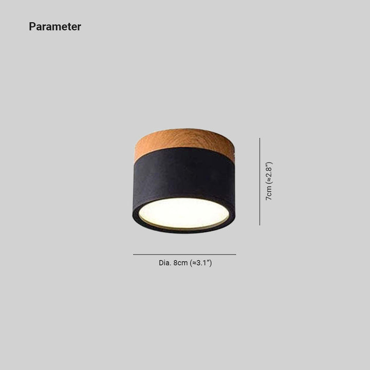 Morandi Style Modern LED Ceiling Lamp - LumiModo | Kalsten