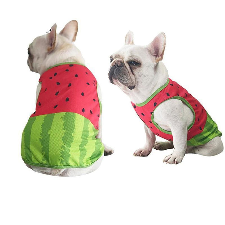 Coolify™ V2: Summer Cooling Shirt (CS18) - Frenchie Bulldog Shop