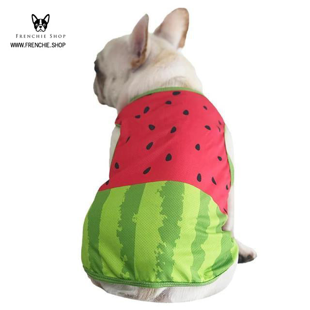Coolify™ V2: Summer Cooling Shirt (CS18) | Kalsten