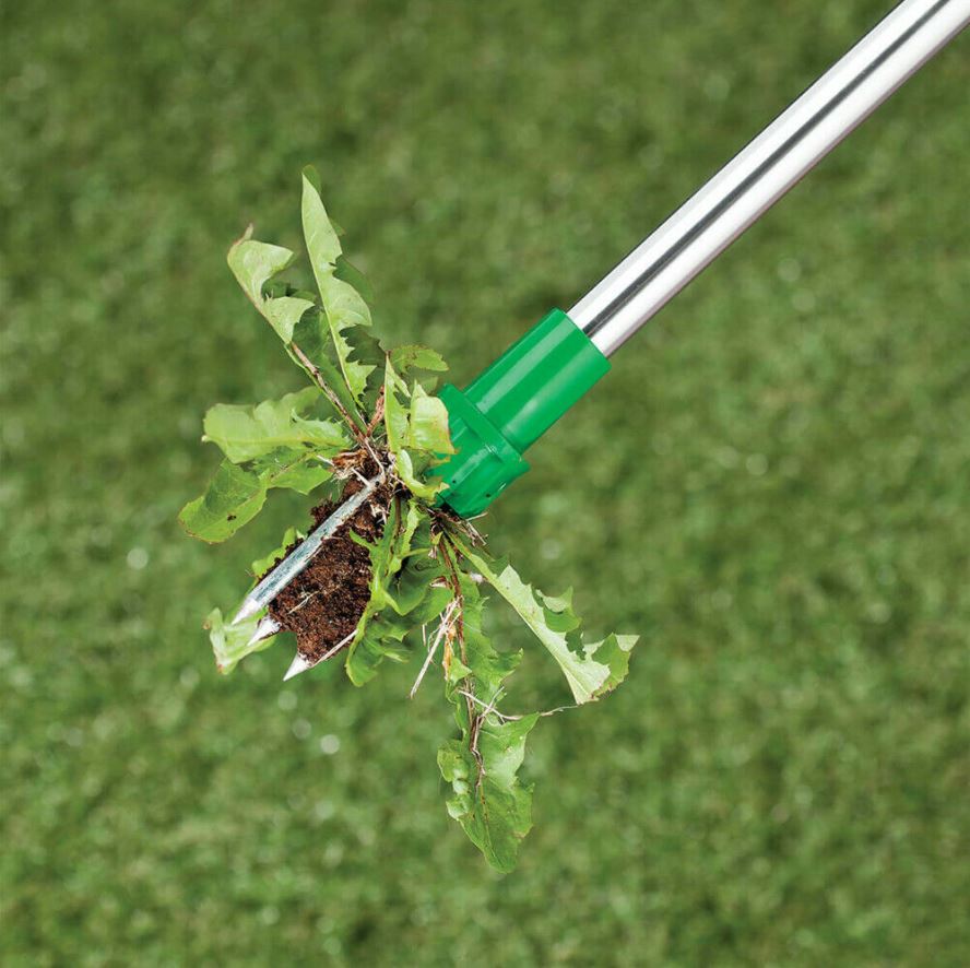 Stand-up Weeder | Kalsten