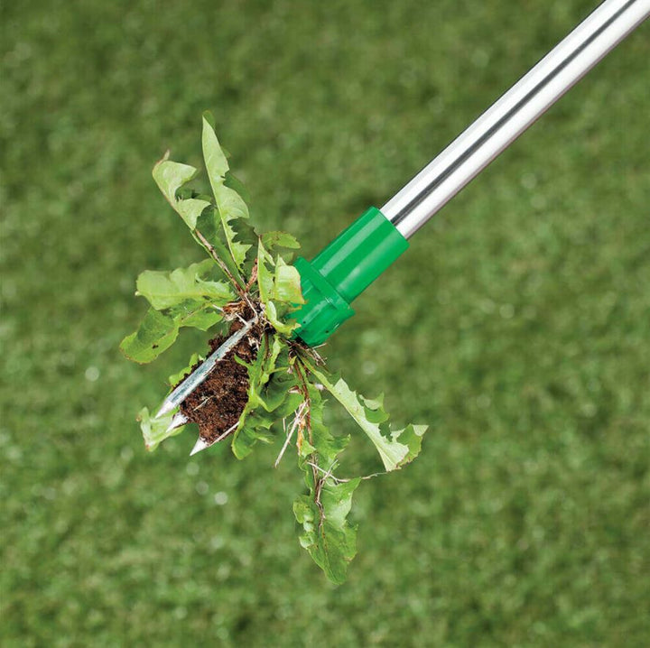 Stand-up Weeder | Kalsten