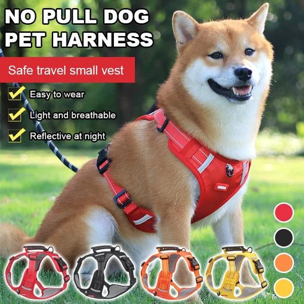 DogGrip Walk safely with your dog | Kalsten