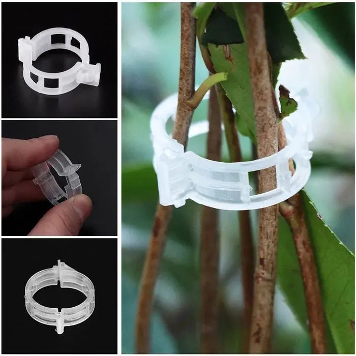 VitaGrip Clips — Strong hold for majestic plants that grow and thrive proudly | Kalsten