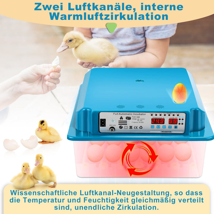Brutautomat Fully Automatic Incubator for Chickens 36 Eggs | Kalsten