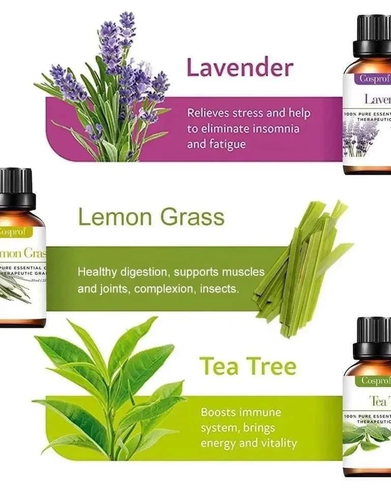 Kalsten | Set Of 12 Pure Essential Oils Gift Set