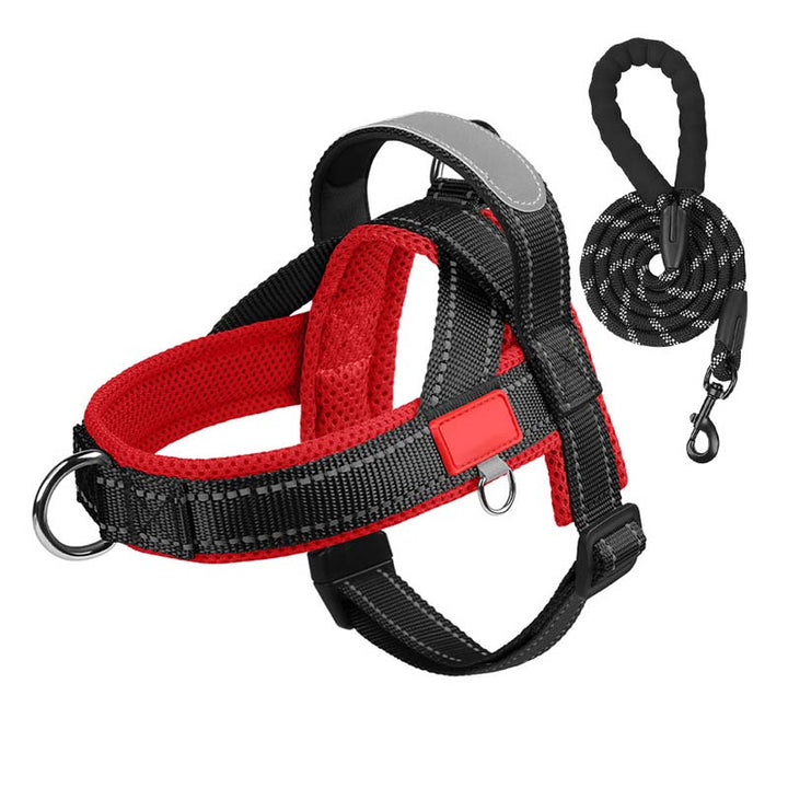 PawEase Comfort Harness — Relaxed Dressing and Unlimited Freedom for Your Dog | Kalsten
