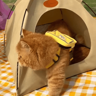 Cooling Cat Tent - CoolCat Retreat | Kalsten