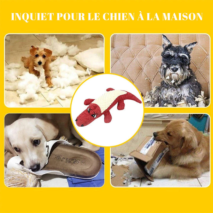 Crocodile Toy for Pets | Kalsten
