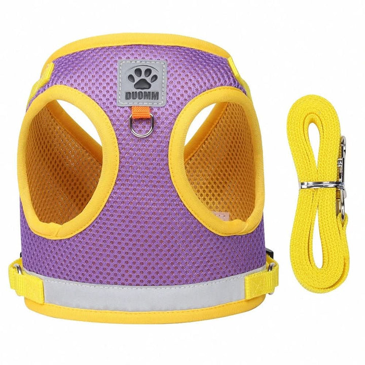 Kalsten | Escape-proof cat harness with reflective details