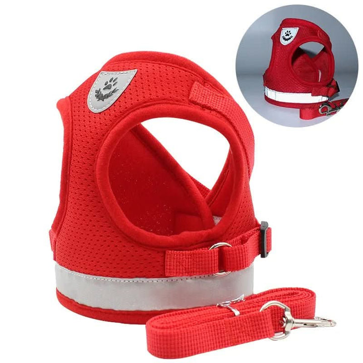 Kalsten | Escape-proof cat harness with reflective details