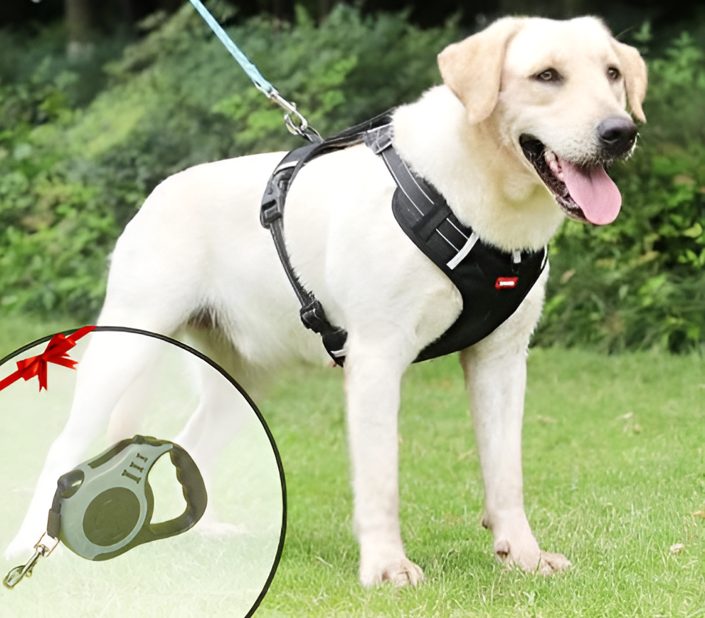 Anti-Trek Dog Harness - FlexiFit Kalsten