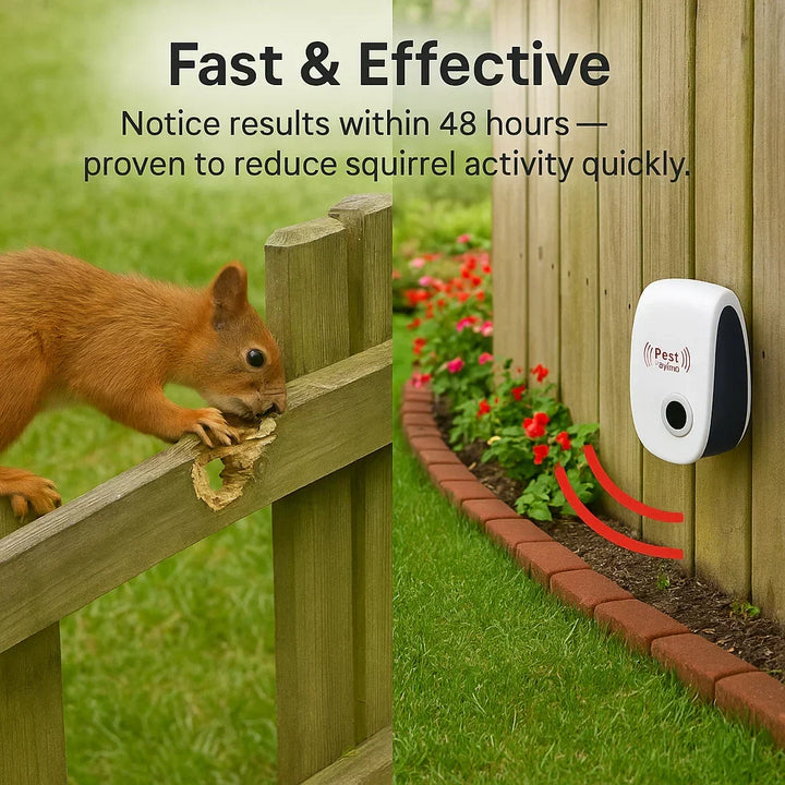 Ultrasonic Squirrel Repeller