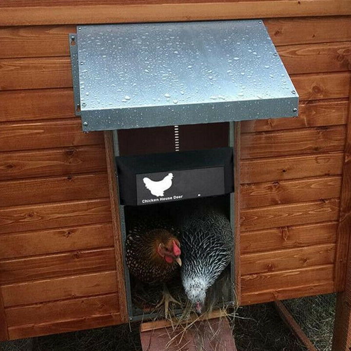 Kalsten | Automatic Chicken Coop Door System - SafeCoop