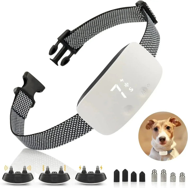StilPoot Dog Training Collar Rechargeable and Waterproof | Kalsten