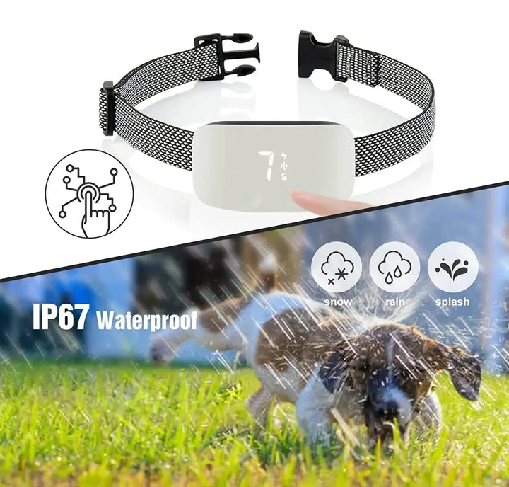 StilPoot Dog Training Collar Rechargeable and Waterproof | Kalsten