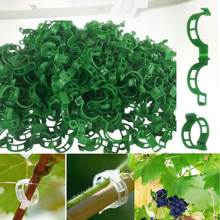Kalsten | Tomato Clips, Plastic Trellis Clips