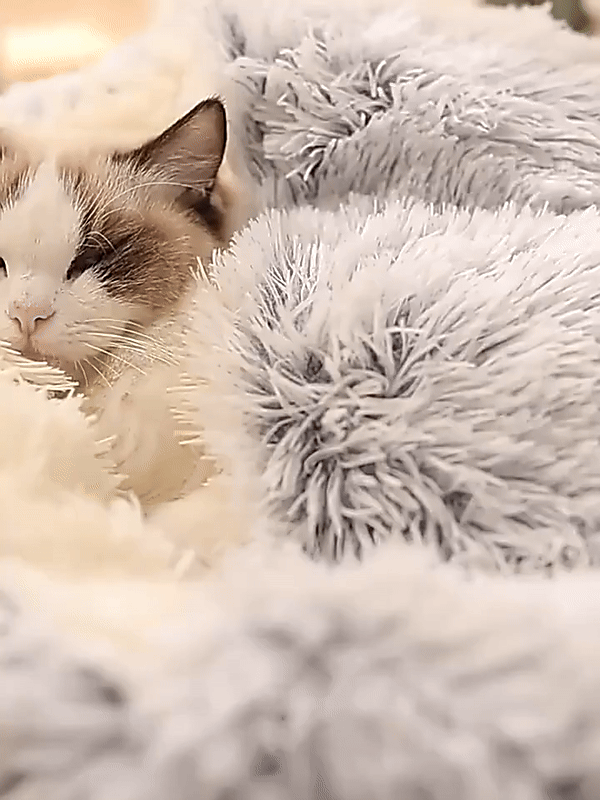 Calming Pet Cave Bed