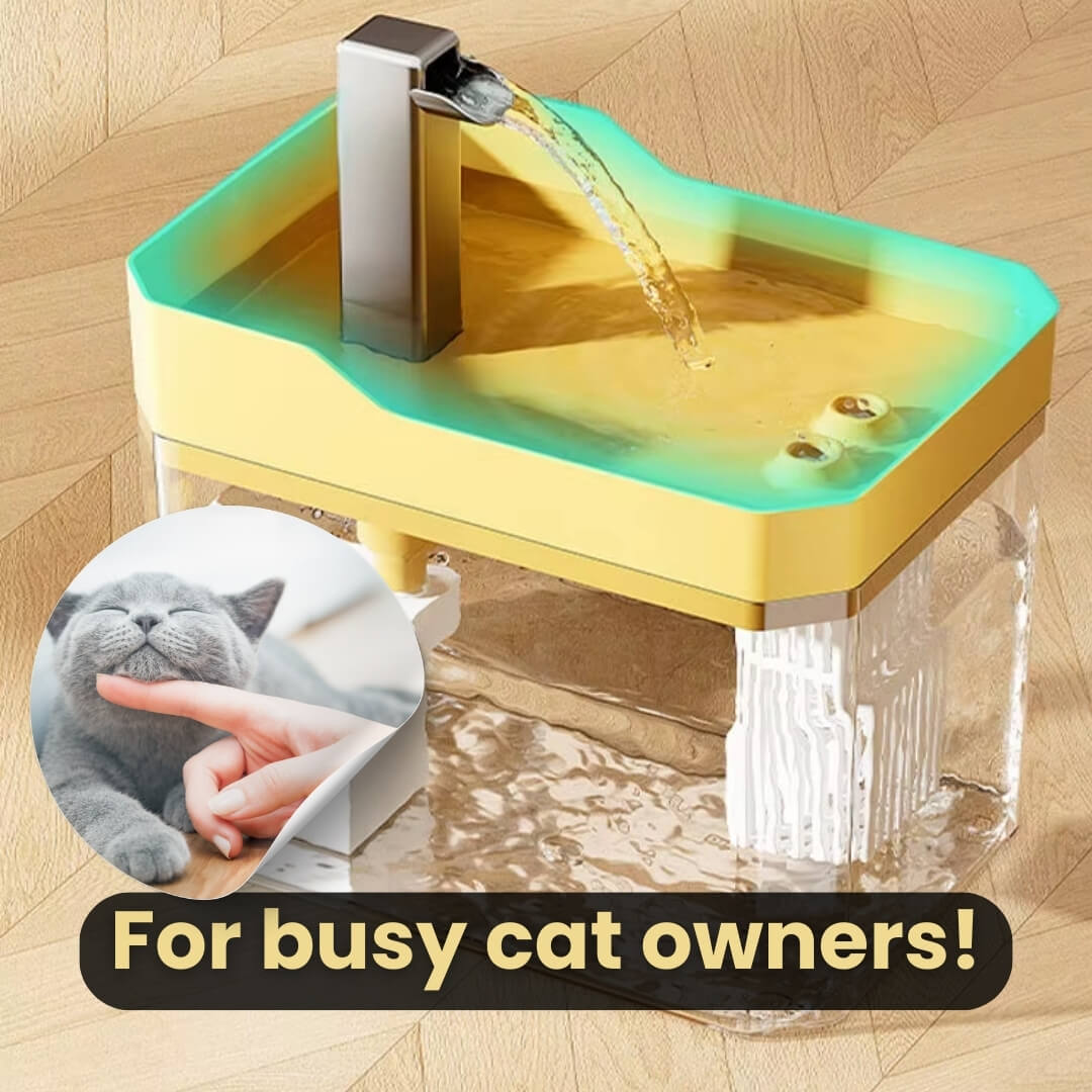 Cat Drinking Fountain 360° Sensor 1.5 L Quiet | Kalsten