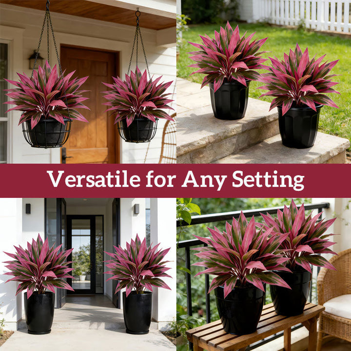 VerdoGlow — Vibrant freshness without effort that will transform your home forever | Kalsten