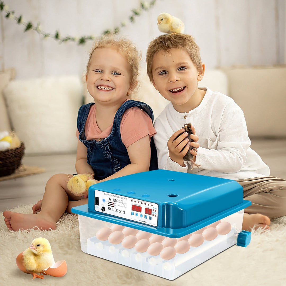 Brutautomat Fully Automatic Incubator for Chickens 36 Eggs | Kalsten