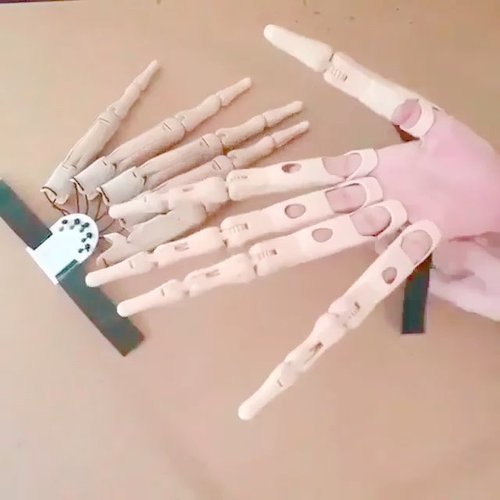 Kalsten | CreepyClaws Halloween Frightening Finger Extension
