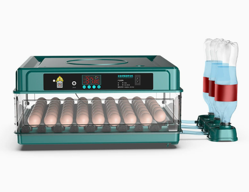 Kalsten | Digital Egg Incubator with Adjustable Tray