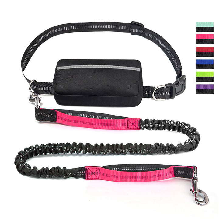FlowLeash — Experience gentle control and relaxed walks without jerks! | Kalsten