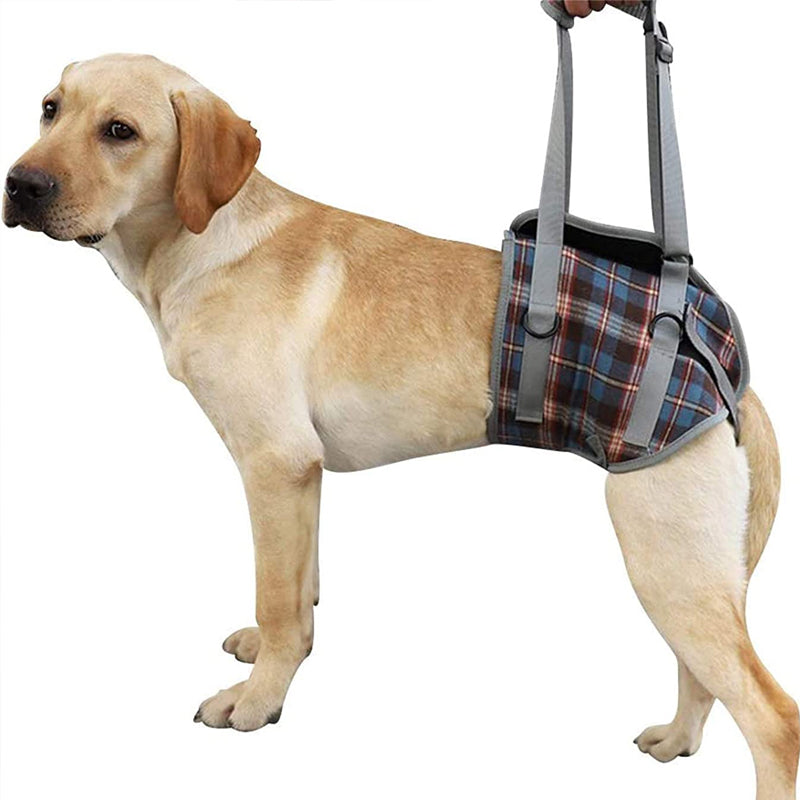 Orthopedic Rear Leg Harness