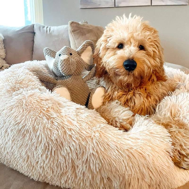 Orthopedic Plush Donut Dog Bed Kalsten