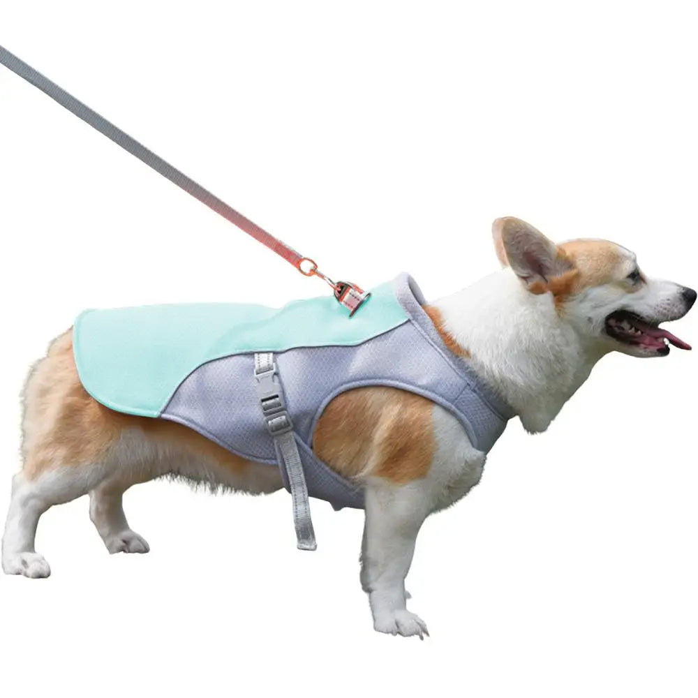 Dog Cooling Vest for Outdoor Activities | Kalsten