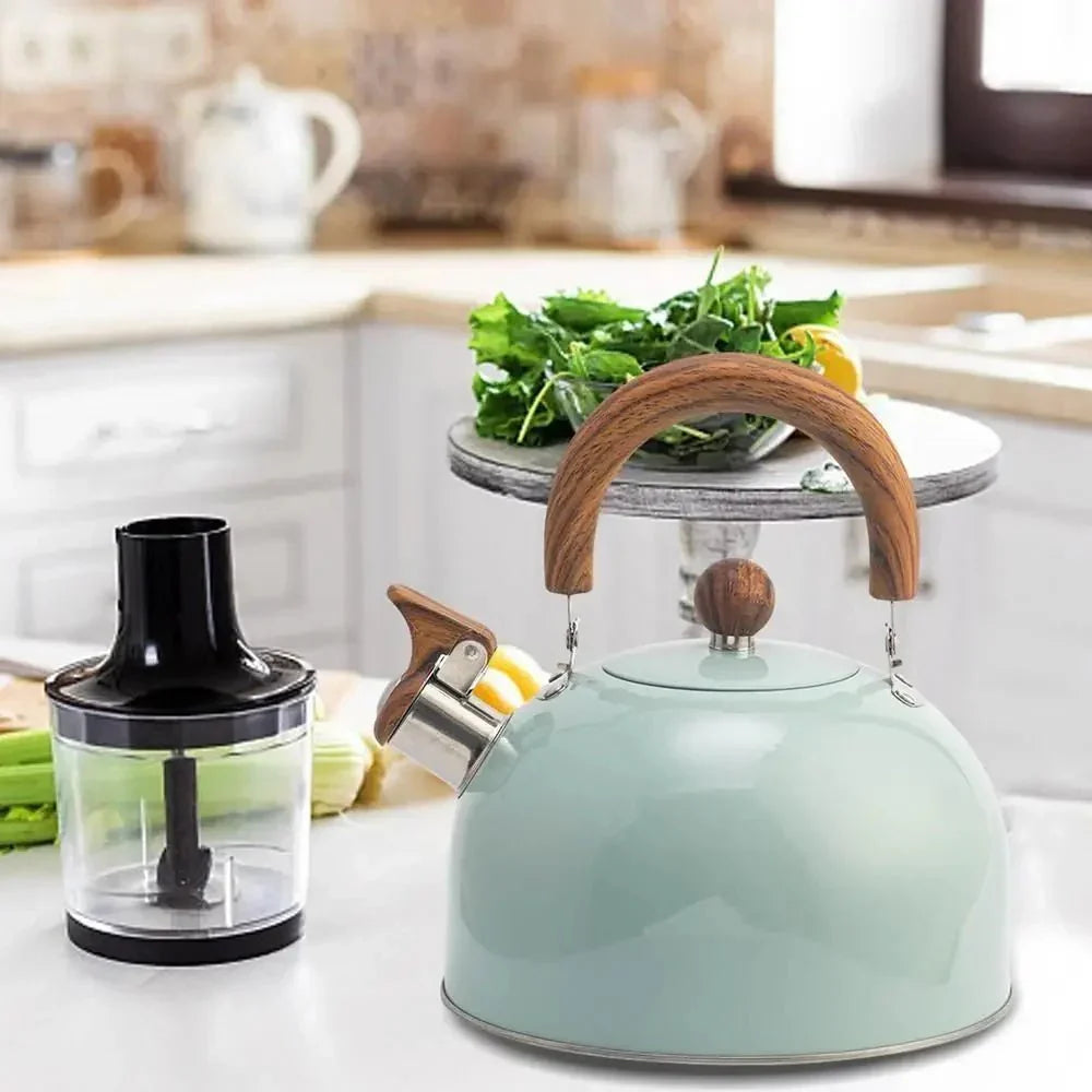 Skanto | BOILVIA – 3L Stainless Steel Kettle with Comfort Grip Handle