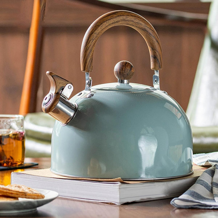 Kalsten | Stainless Steel Whistling Kettle - Elegant and Large Capacity