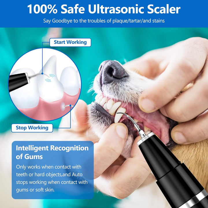BuddyCare Ultrasonic Pet Dental Cleaning Kit Kalsten