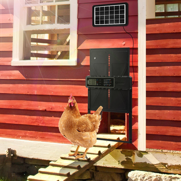 Electric Chicken Coop Door Solar with LED Display and Remote Control | Kalsten